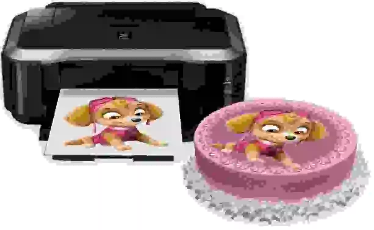 Принтер для торта купить. Пищевой принтер Canon. Пищевой принтер Canon Cake. Пищевой принтер Canon a3 WIFI. Принтер для тортов.